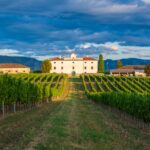 Dvorac Belaj (7) (Custom)