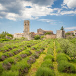 Sv Lovrec_TZ CENTRALNE (2)