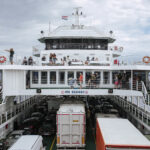 Hortikultura_ECLECTICA_2