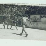 Solo contro Roma _PPMI_5